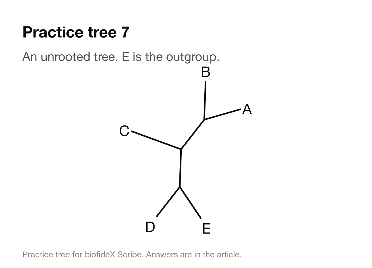Practice tree 7. An unrooted tree with five tips. A and B join at one node, D and E join at another, and C hangs from a central node between the two pairs.