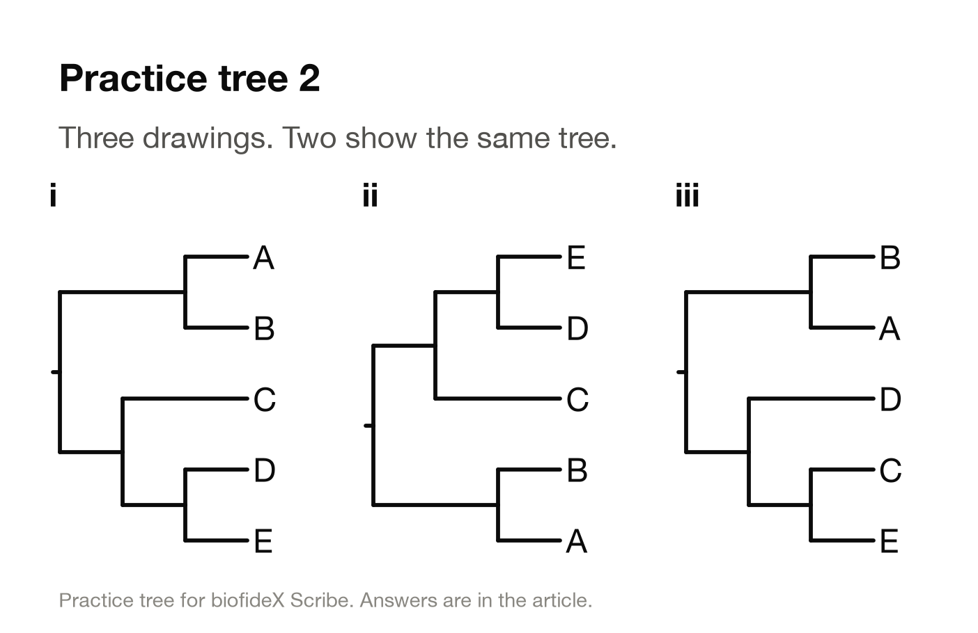 Practice tree 2. Three letter trees with tips A to E. Drawing i: A and B are a pair; C is the sister of a D and E pair. Drawing ii, top to bottom E, D, C, B, A: E and D are a pair joined by C, and B and A are a pair. Drawing iii: B and A are a pair; D is the sister of a C and E pair.