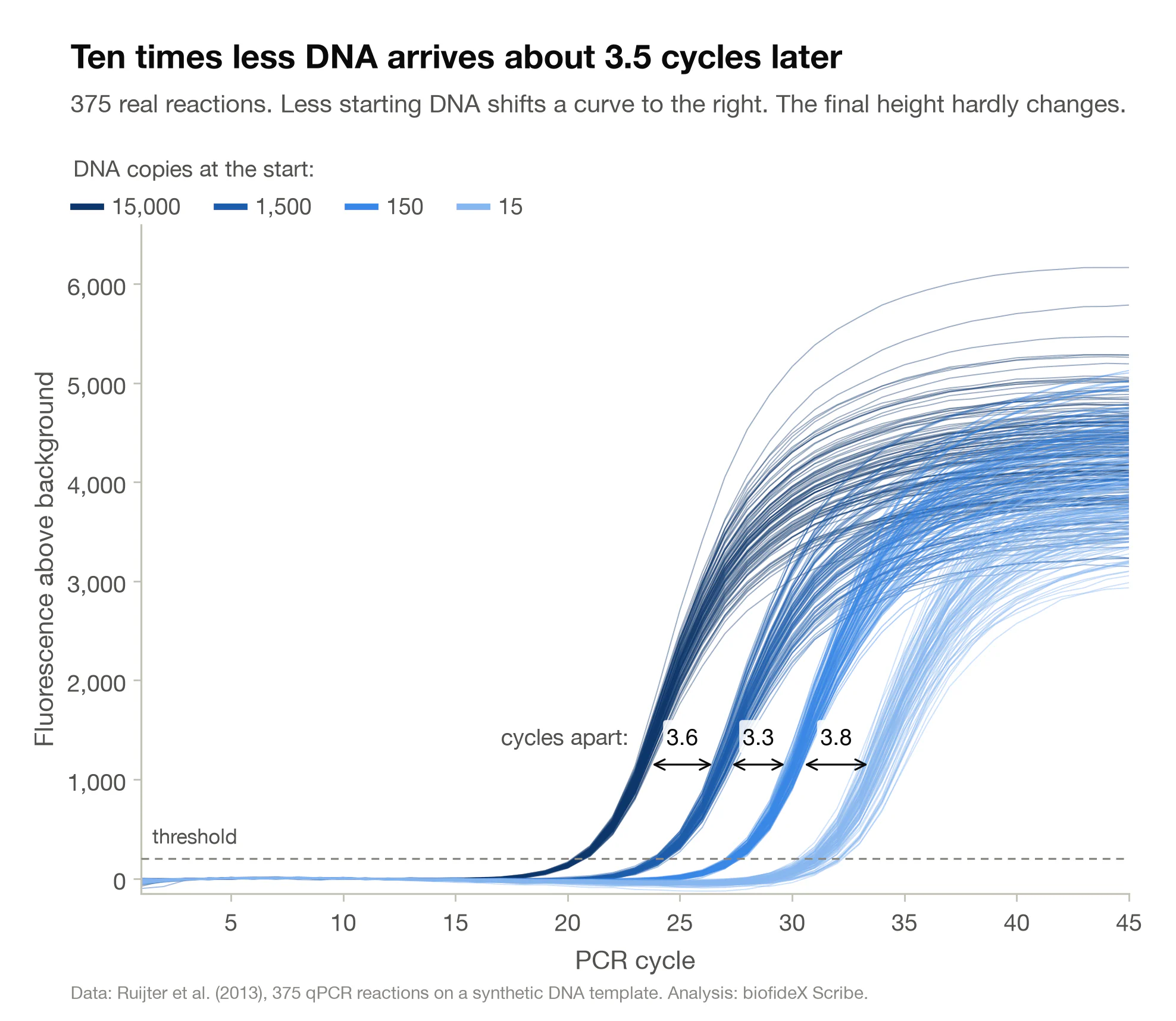 Line chart of 375 amplification curves in four bundles, from dark blue for 15,000 starting copies to light blue for 15. Each bundle rises from a flat baseline about 3.3 to 3.8 cycles after the one before it. All four bundles flatten at similar heights by cycle 45.