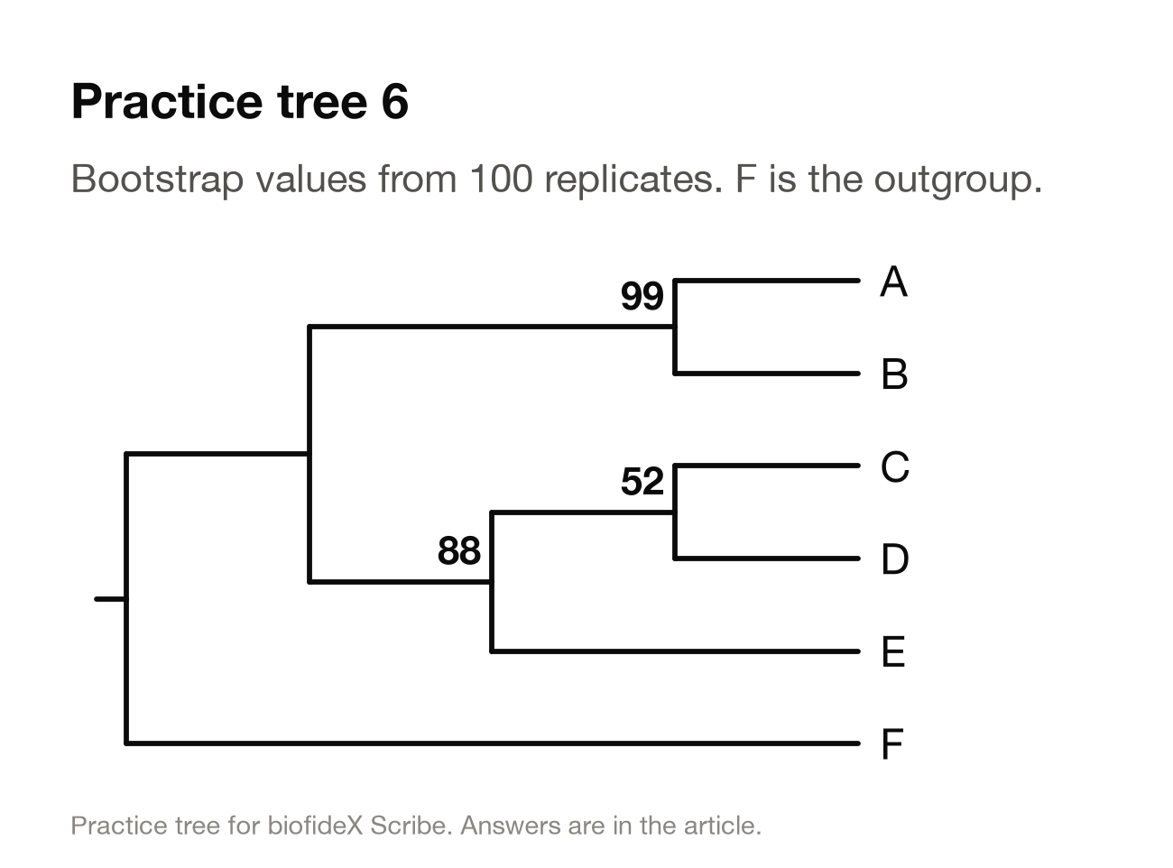Practice tree 6. F is the outgroup. A and B form a pair with support 99. C and D form a pair with support 52, which joins E in a group with support 88.